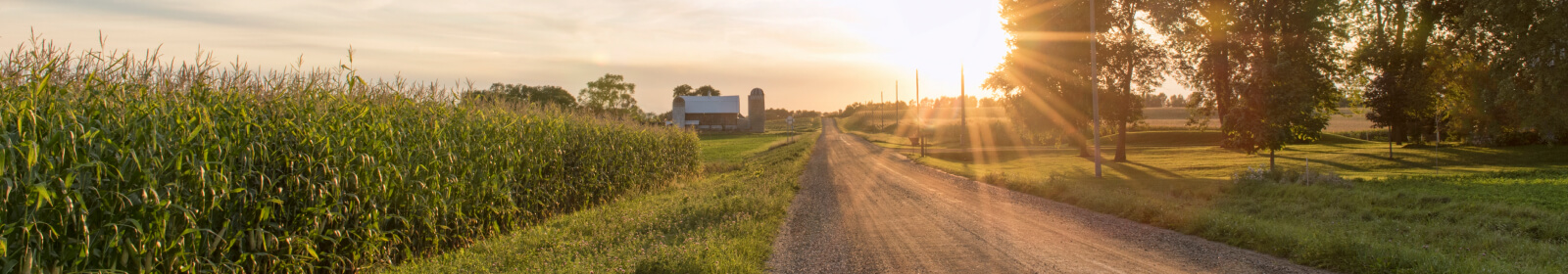 Farm Landscape