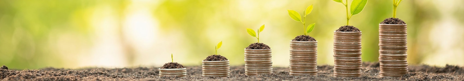 stack of coins in the dirt