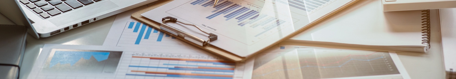 document with bar and pie graphs